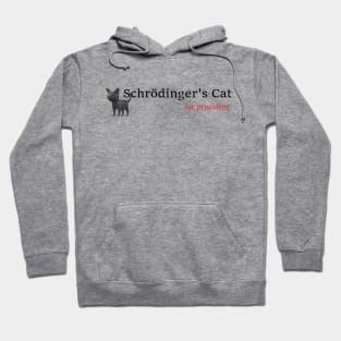 Schrodinger's Cat for President Hoodie